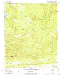 Magazine Mountain NE Arkansas Historical topographic map, 1:24000 scale, 7.5 X 7.5 Minute, Year 1966