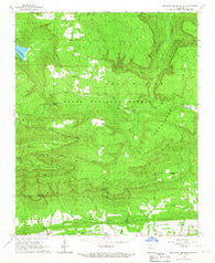 Magazine Mountain NE Arkansas Historical topographic map, 1:24000 scale, 7.5 X 7.5 Minute, Year 1966
