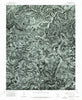 Mt Judea NE Arkansas Historical topographic map, 1:24000 scale, 7.5 X 7.5 Minute, Year 1974