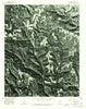 Old Lexington Arkansas Historical topographic map, 1:24000 scale, 7.5 X 7.5 Minute, Year 1976