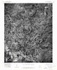 Smyrna SW Arkansas Historical topographic map, 1:24000 scale, 7.5 X 7.5 Minute, Year 1974