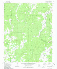 Witts Springs Arkansas Historical topographic map, 1:24000 scale, 7.5 X 7.5 Minute, Year 1980