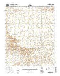 Appaloosa Ridge Arizona Current topographic map, 1:24000 scale, 7.5 X 7.5 Minute, Year 2014