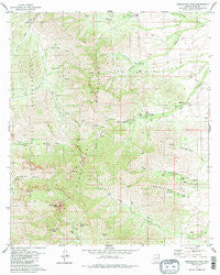Baboquivari Peak Arizona Historical topographic map, 1:24000 scale, 7.5 X 7.5 Minute, Year 1979