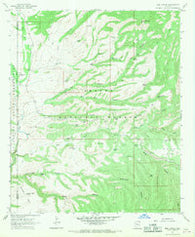 Bee Canyon Arizona Historical topographic map, 1:24000 scale, 7.5 X 7.5 Minute, Year 1967