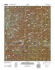 Bee Canyon Arizona Historical topographic map, 1:24000 scale, 7.5 X 7.5 Minute, Year 2011