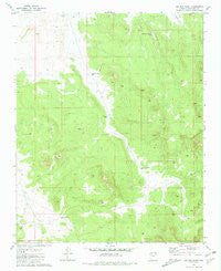 Big Bud Tank Arizona Historical topographic map, 1:24000 scale, 7.5 X 7.5 Minute, Year 1981