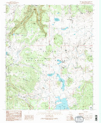 Big Lake North Arizona Historical topographic map, 1:24000 scale, 7.5 X 7.5 Minute, Year 1991