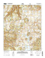 Big Lake North Arizona Current topographic map, 1:24000 scale, 7.5 X 7.5 Minute, Year 2014