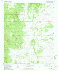 Bishop Lake Arizona Historical topographic map, 1:24000 scale, 7.5 X 7.5 Minute, Year 1981