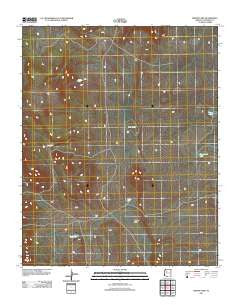 Bishop Lake Arizona Historical topographic map, 1:24000 scale, 7.5 X 7.5 Minute, Year 2011