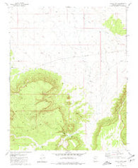 Black Tank Arizona Historical topographic map, 1:24000 scale, 7.5 X 7.5 Minute, Year 1980