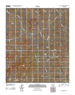 Black Mountain Arizona Historical topographic map, 1:24000 scale, 7.5 X 7.5 Minute, Year 2011