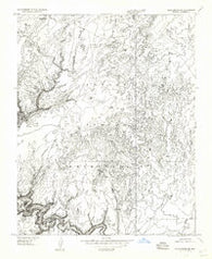 Blue Spring NE Arizona Historical topographic map, 1:24000 scale, 7.5 X 7.5 Minute, Year 1955