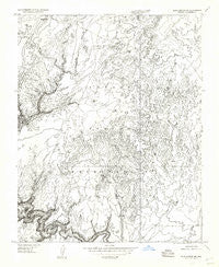 Blue Spring NE Arizona Historical topographic map, 1:24000 scale, 7.5 X 7.5 Minute, Year 1955