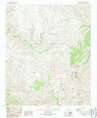 Bonita Spring Arizona Historical topographic map, 1:24000 scale, 7.5 X 7.5 Minute, Year 1989