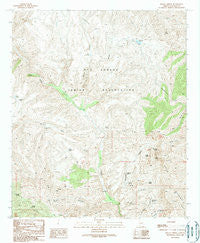 Bonita Spring Arizona Historical topographic map, 1:24000 scale, 7.5 X 7.5 Minute, Year 1989
