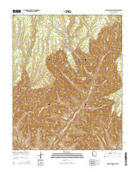Bright Angel Point Arizona Current topographic map, 1:24000 scale, 7.5 X 7.5 Minute, Year 2014