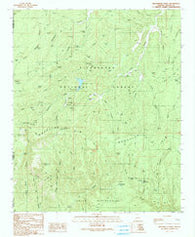 Brookbank Point Arizona Historical topographic map, 1:24000 scale, 7.5 X 7.5 Minute, Year 1990