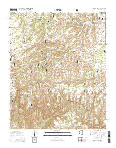 Brookbank Point Arizona Current topographic map, 1:24000 scale, 7.5 X 7.5 Minute, Year 2014