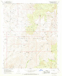 Brooklyn Peak Arizona Historical topographic map, 1:24000 scale, 7.5 X 7.5 Minute, Year 1967
