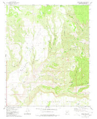 Burro Mesa Arizona Historical topographic map, 1:24000 scale, 7.5 X 7.5 Minute, Year 1980