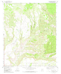 Burro Mesa Arizona Historical topographic map, 1:24000 scale, 7.5 X 7.5 Minute, Year 1980