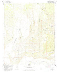 Burro Mesa Arizona Historical topographic map, 1:24000 scale, 7.5 X 7.5 Minute, Year 1980