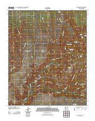 Burro Mesa Arizona Historical topographic map, 1:24000 scale, 7.5 X 7.5 Minute, Year 2011