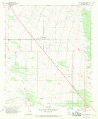 Cactus Forest Arizona Historical topographic map, 1:24000 scale, 7.5 X 7.5 Minute, Year 1966