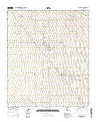 Cactus Forest Arizona Current topographic map, 1:24000 scale, 7.5 X 7.5 Minute, Year 2014