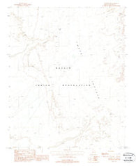 Cameron NE Arizona Historical topographic map, 1:24000 scale, 7.5 X 7.5 Minute, Year 1988