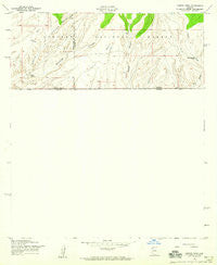 Campini Mesa Arizona Historical topographic map, 1:24000 scale, 7.5 X 7.5 Minute, Year 1958