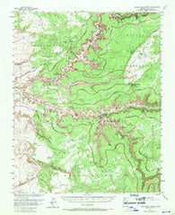 Canyon Del Muerto Arizona Historical topographic map, 1:62500 scale, 15 X 15 Minute, Year 1955
