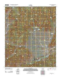Canyon Day Arizona Historical topographic map, 1:24000 scale, 7.5 X 7.5 Minute, Year 2011