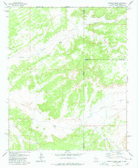 Carrisito Spring Arizona Historical topographic map, 1:24000 scale, 7.5 X 7.5 Minute, Year 1978