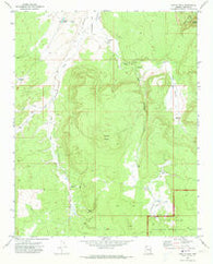 Castle Peak Arizona Historical topographic map, 1:24000 scale, 7.5 X 7.5 Minute, Year 1971