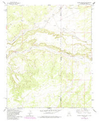 Ceadro Spring SE Arizona Historical topographic map, 1:24000 scale, 7.5 X 7.5 Minute, Year 1979