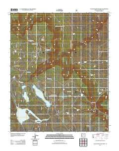 Chavez Mountain West Arizona Historical topographic map, 1:24000 scale, 7.5 X 7.5 Minute, Year 2011
