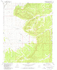 Cherokee Point Arizona Historical topographic map, 1:24000 scale, 7.5 X 7.5 Minute, Year 1980