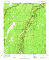 Chevelon Crossing Arizona Historical topographic map, 1:24000 scale, 7.5 X 7.5 Minute, Year 1965