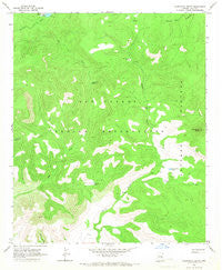 Chiricahua Butte Arizona Historical topographic map, 1:24000 scale, 7.5 X 7.5 Minute, Year 1966