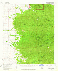 Chiricahua Peak Arizona Historical topographic map, 1:62500 scale, 15 X 15 Minute, Year 1958
