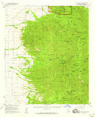 Chiricahua Peak Arizona Historical topographic map, 1:62500 scale, 15 X 15 Minute, Year 1958