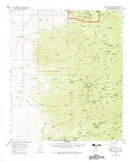 Chiricahua Peak Arizona Historical topographic map, 1:62500 scale, 15 X 15 Minute, Year 1958