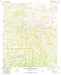 Cochise Head Arizona Historical topographic map, 1:24000 scale, 7.5 X 7.5 Minute, Year 1979