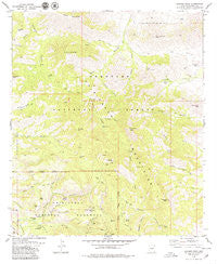 Cochise Head Arizona Historical topographic map, 1:24000 scale, 7.5 X 7.5 Minute, Year 1979