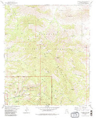 Cochise Head Arizona Historical topographic map, 1:24000 scale, 7.5 X 7.5 Minute, Year 1979