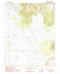 Colorado City Arizona Historical topographic map, 1:24000 scale, 7.5 X 7.5 Minute, Year 1988