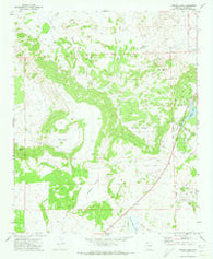 Concho Lake Arizona Historical topographic map, 1:24000 scale, 7.5 X 7.5 Minute, Year 1971